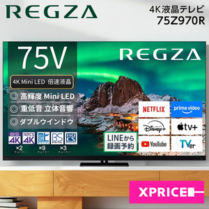 薄型テレビ・液晶テレビ