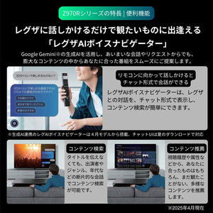 TVS REGZA 65Z970R REGZA [65V型 地上・BS・110度CSデジタル 4K