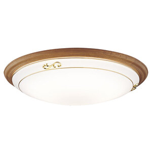 シーリングライト