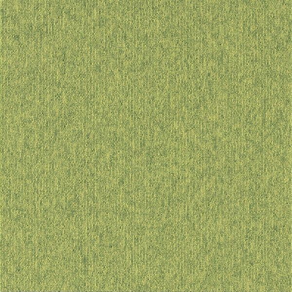 X~mG ^CJ[ybg ECOS LP2066N 50×50cm 20 13248766