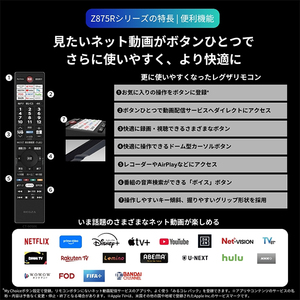 TVS REGZA 55Z875R REGZA [55V型 地上・BS・110度CSデジタル 4K