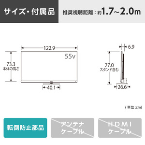 TVS REGZA 55Z875R REGZA [55V型 地上・BS・110度CSデジタル 4K