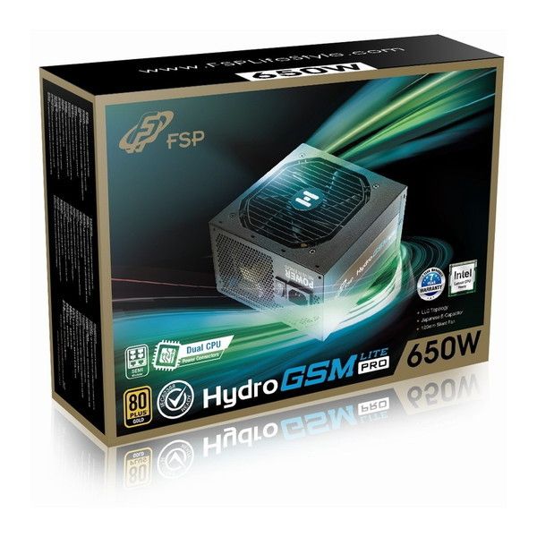 FSP Hydro GSM Lite PRO 650W PC用電源ユニット HGS-650M PC電源 HGS-650M (Hydro GSM Lite PRO 650W) 1個 FSP