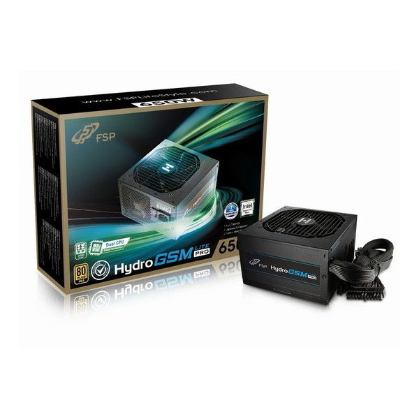 FSP Hydro GSM Lite PRO 650W PC用電源ユニット HGS-650M PC電源 HGS-650M (Hydro GSM Lite PRO 650W) 1個 FSP