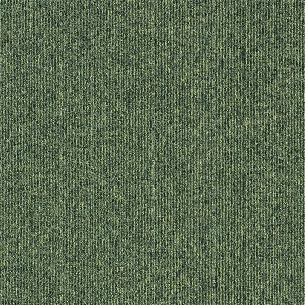 X~mG ^CJ[ybg ECOS LP2091N 50×50cm 20 13248766