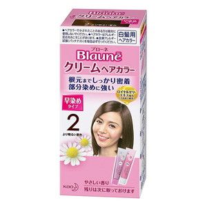 衛生／医療／介護