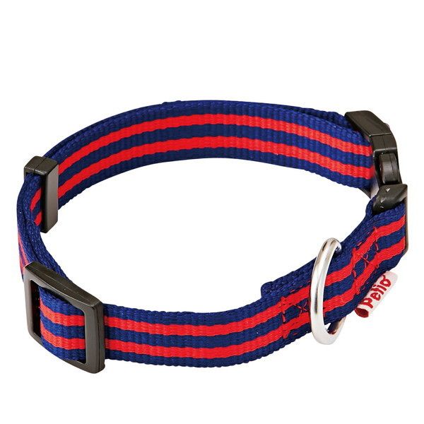 yeBI JW XgCvJ[ MTCY lCr[