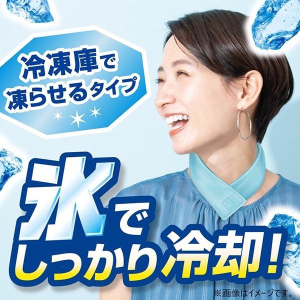 白元アース アイスノン 首もとひんやり氷結ベルト 本体2個 | 激安の
