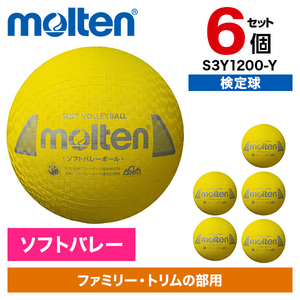 MIKASA]ミカサ ビーチバレーボール 国際公認球 (BV550C-WYBR) ホワイト