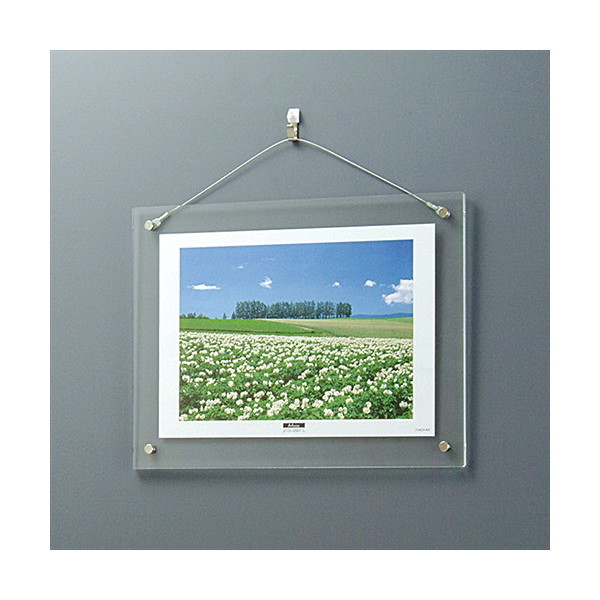 Nakabayashi t-ACH-A4 ANsN`[t[/Ǌ|