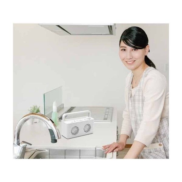 TEES TSP-M29 みみちか [テレビ用ワイヤレススピーカー] | 激安