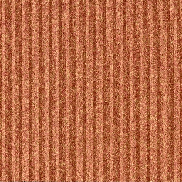 X~mG ^CJ[ybg ECOS LP2098N 50×50cm 20 13248766