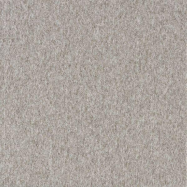 X~mG ^CJ[ybg ECOS LP2097N 50×50cm 20 13248766