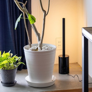 フロアライト・フロアスタンド