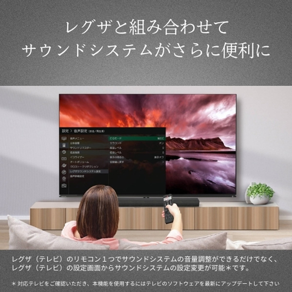 TVS REGZA TS3100Q [3.1ch レグザサウンドシステム (ワイヤレスサブ