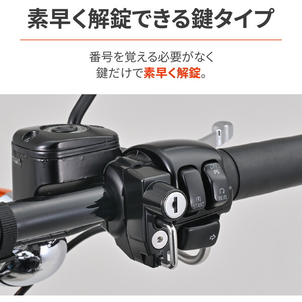 デイトナ D63133 ヘルメットロック バイク ハーレーダビッドソン FXD 