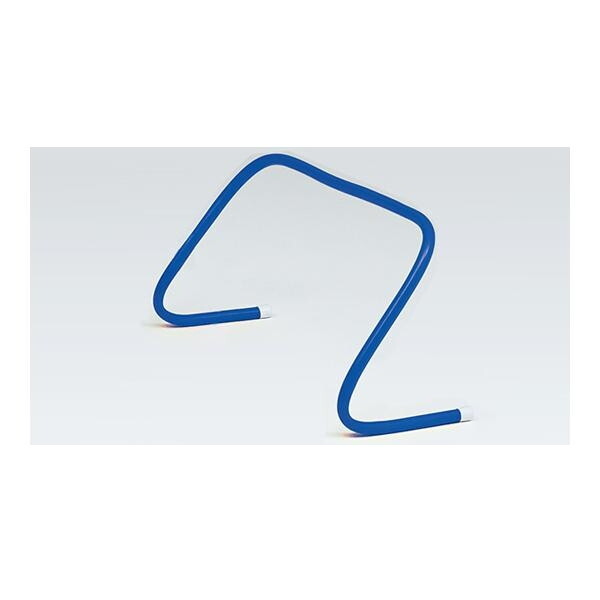 g[GCCg wZ̈ tLVun[h30 u[ G1955