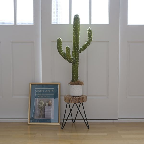 RP FG-CUC85 [tFCNO[ T{e]