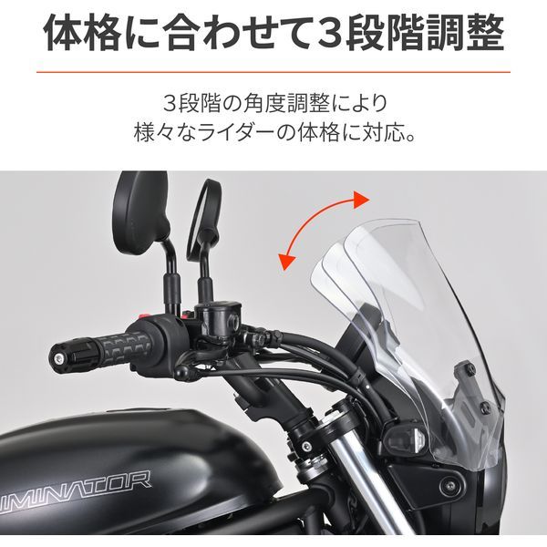 デイトナ(Daytona) バイク用 スクリーン エリミネーター(24)専用