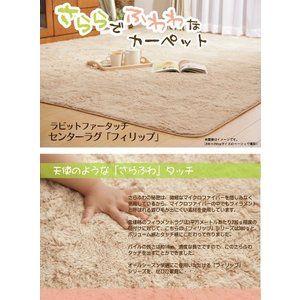 イケヒコ・コーポレーション 4609639 フィラメント素材 ホットカーペットカバー 「フィリップ」 200×300cm  アイボリー【沖縄・北海道・離島配送不可】