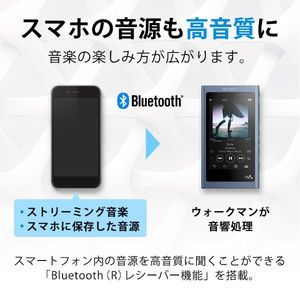 SONY NW-A55-L ムーンリットブルー Walkman(ウォークマン) A50シリーズ