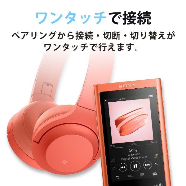 SONY NW-A55-L ムーンリットブルー Walkman(ウォークマン) A50シリーズ [ハイレゾ音源対応 ポータブルオーディオプレーヤー ( 16GB)] | 激安の新品・型落ち・アウトレット 家電 通販 XPRICE - エクスプライス (旧 PREMOA - プレモア)