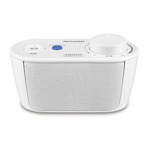 その他スピーカー