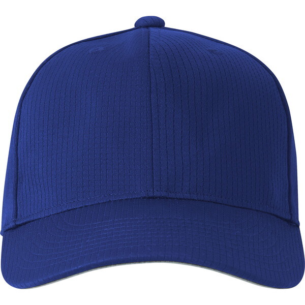 DESCENTE fTg 싅EGA AJLbv u[ 60 DB5SCP00M BL00