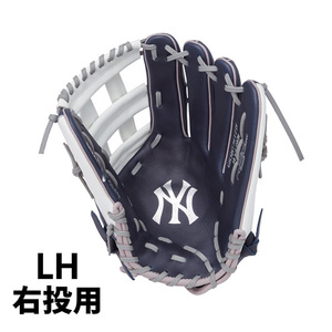 Rawlings ローリングス 野球 トレーニング用グローブ 硬式