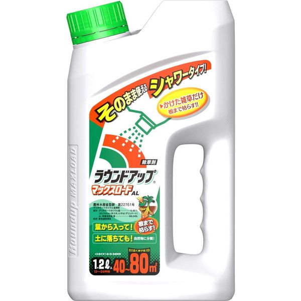 ���i�摜