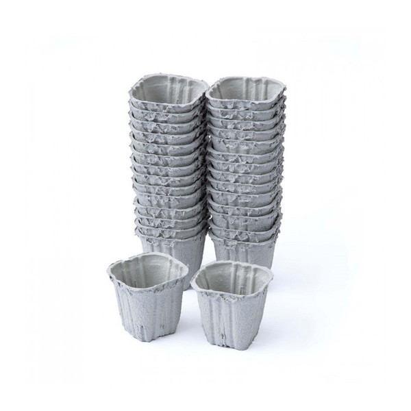 RCt yɊ҂鉀||bg 30