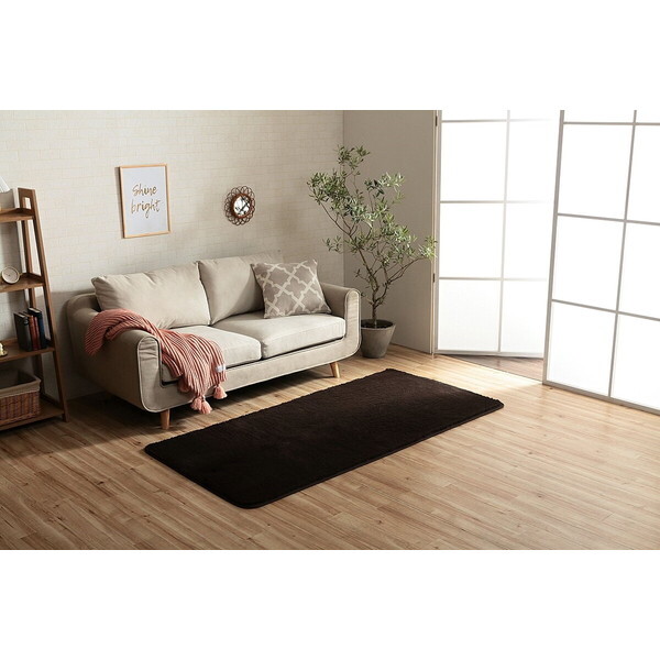 イケヒコ・コーポレーション 1280600061103 フィリップ22 1畳 BR 90×185