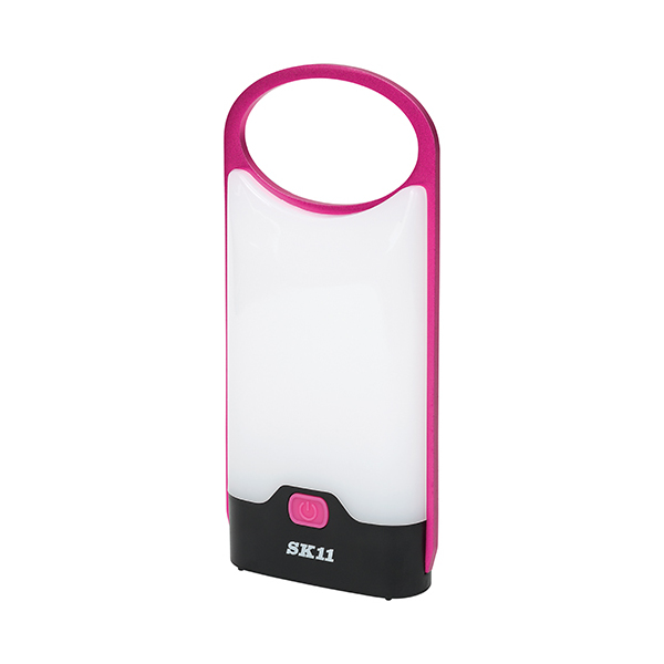 SK11 drX^ SLT-100DB-PK