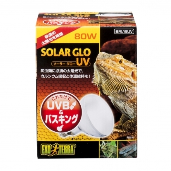 WFbNX \[[O[UV PT2334 80W