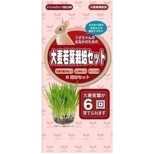 小動物用フード