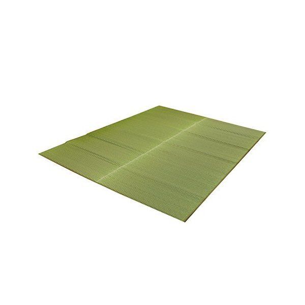 �C�P�q�R�E�R�[�|���[�V���� 1050890123904 �����Y �������O�J�[�y�b�g �uF�\���b�h�v ��191×250cm GN