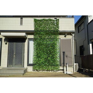 ラティス・フェンス