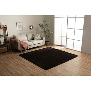 カーペット・ラグ