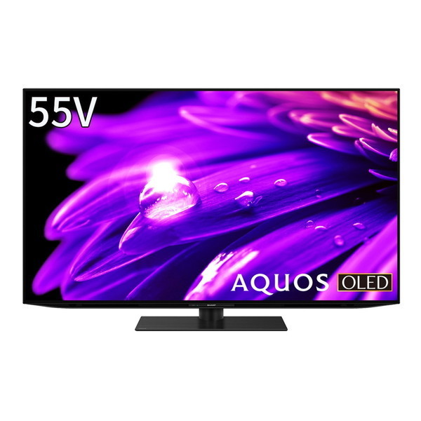 SHARP 4T-C55ES1 AQUOS OLED [55V�^ �n��EBS�E110�xCS�f�W�^�� 4K�`���[�i�[���� �L�@EL�e���r]