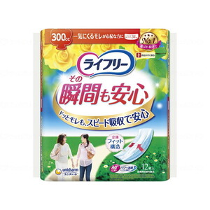 失禁パンツ（福祉介護）