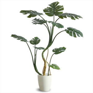 アートクリエイション 877A300 フレッシュ胡蝶蘭8本立W メーカー直送