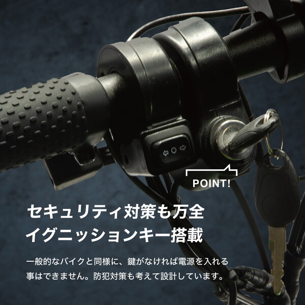 【極美品】LIKI trike プレミアム☆S5特別仕様☆ブラック リキトライク☆プレミアム☆ナイトロブラック⭐︎S5 Doona Liki