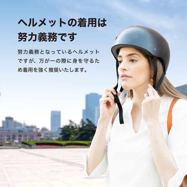 Acalie RICHBIT CITY シティブラック [電動バイク (特定小型