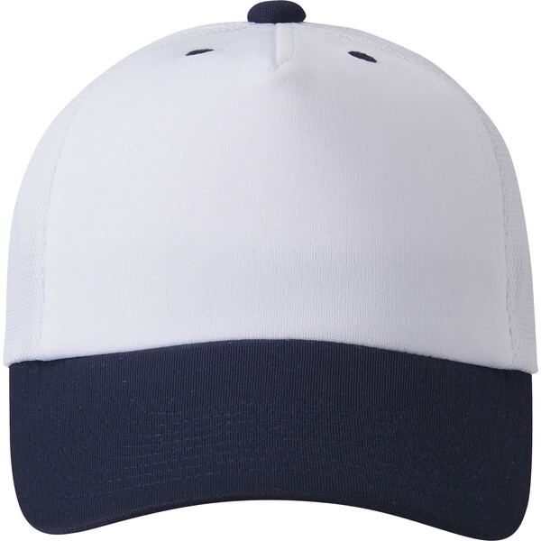 DESCENTE fTg 싅EGA tgplLbv zCg L DB5SCP02M WHNV