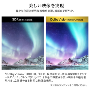 MAXZEN MVU43CH06 [43型 地上・BS・110度CSデジタル 4K対応 液晶テレビ