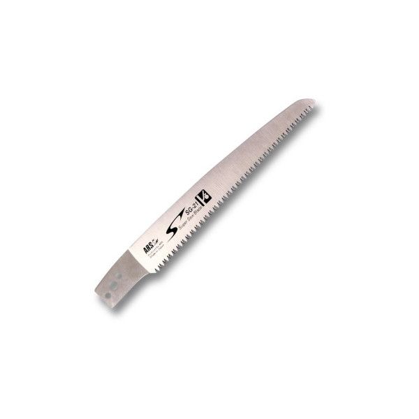 AX SG-21-1 ʎ苘 @ 21 ֐n