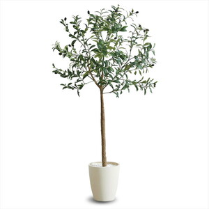 アートクリエイション 877A300 フレッシュ胡蝶蘭8本立W メーカー直送