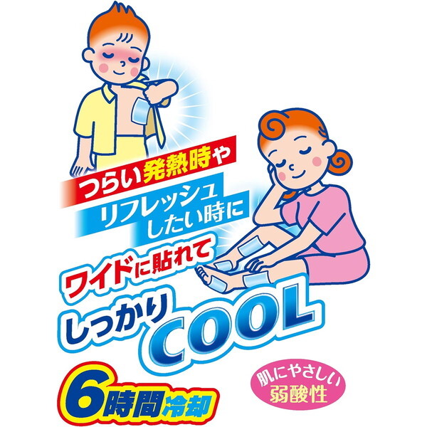 白元アース アイスノン 冷却シート 大判サイズ 10枚入 | 激安の