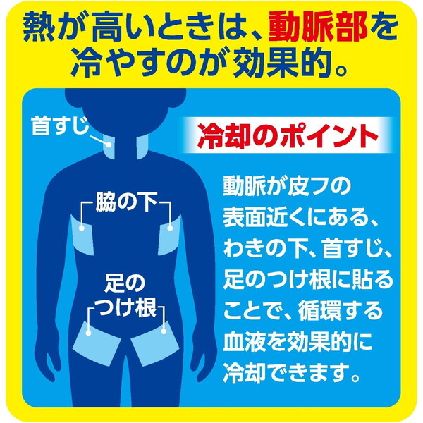 白元アース アイスノン 冷却シート 大判サイズ 10枚入 | 激安の新品