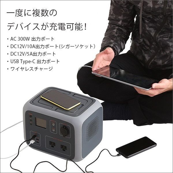 ホームテイスト AC50 グレー ポータブルバッテリー AC10(101Wh)